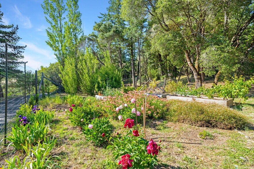More Photos Of 20799 Highway 128, Yorkville Winery Vineyard For Sale