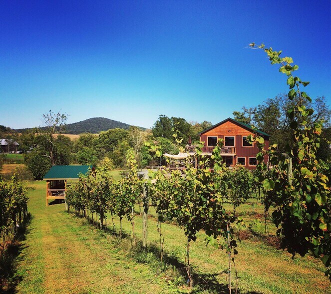 More Photos Of 2110 Quicksburg Rd, Quicksburg Land For Sale