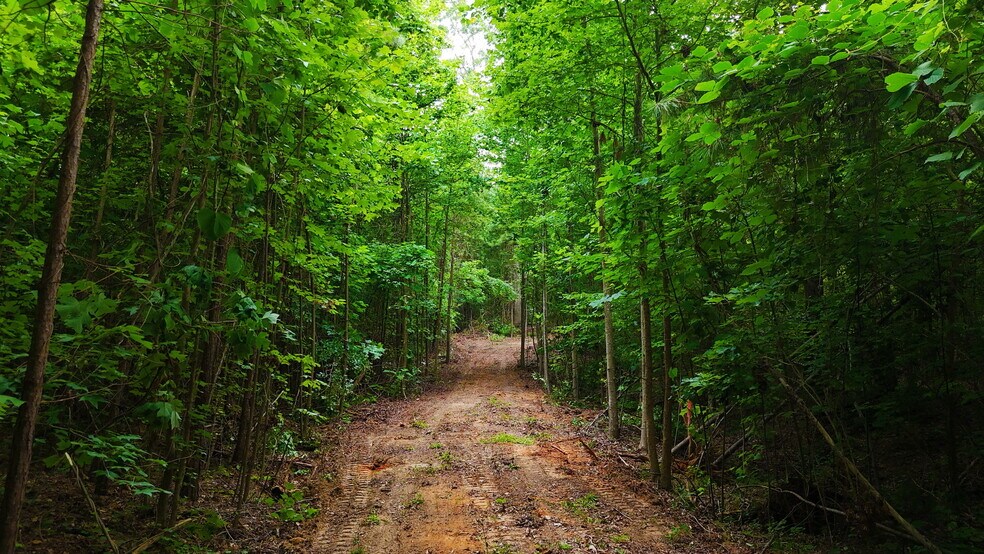 More Photos Of 00 221 Highway South Hwy, Laurens Land For Sale