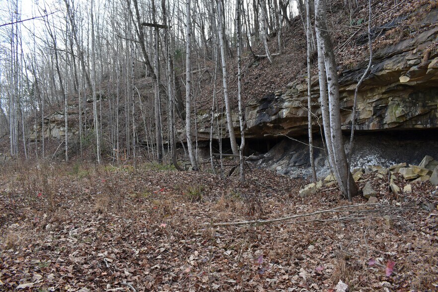 More Photos Of 126 Bolton Point Rd, South Pittsburg Land For Sale