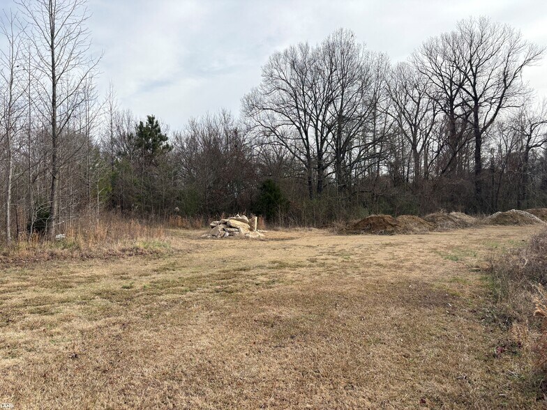 More Photos Of 1351 W Holmes Rd, Memphis Land For Sale