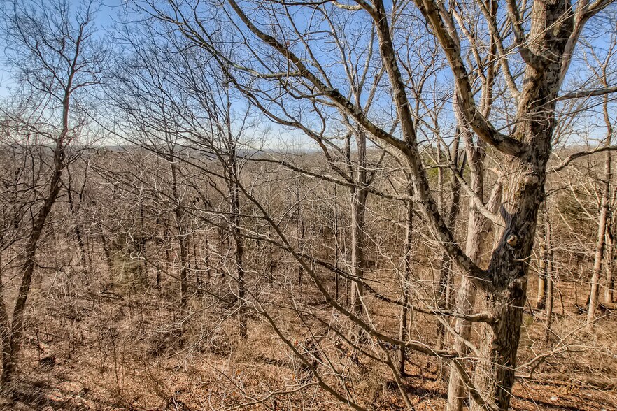 More Photos Of 0 Bell Rd, Hermitage Land For Sale