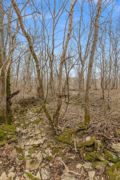 More Photos Of 2889 Tea Run Rd, Ewing Land For Sale