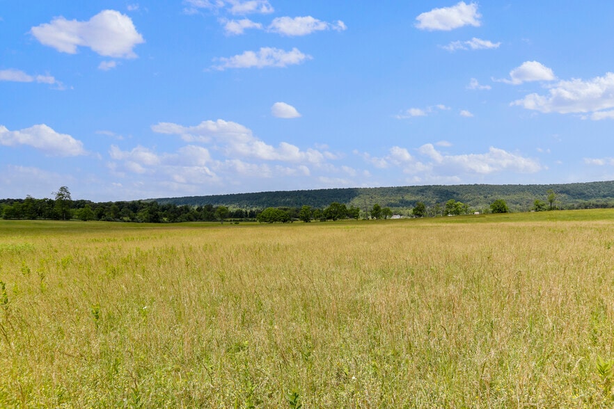 More Photos Of 3648 Dominion Rd, Gerrardstown Land For Sale