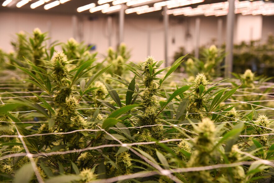 More Photos Of 1422 W Gaylord St, Long Beach Warehouse For Sale