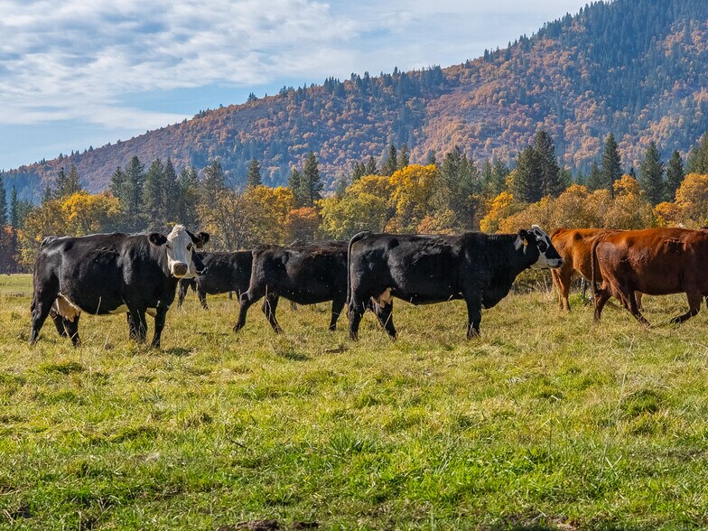 More Photos Of 41579 Osprey Rd, Fall River Mills Land For Sale