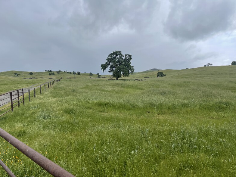 Primary Photo Of Hwy 41, O Neals Land For Sale