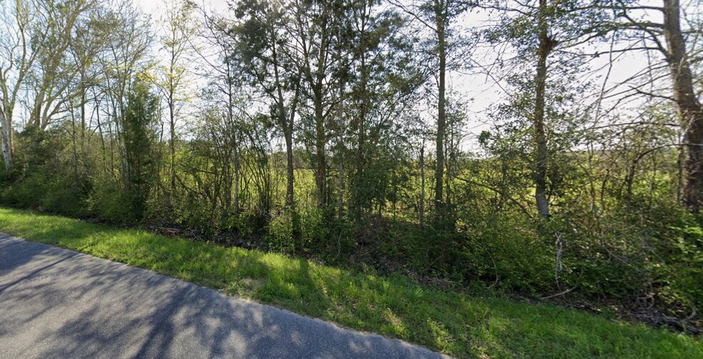 More Photos Of 101 Flowersview Blvd, Laurel Hill Land For Sale