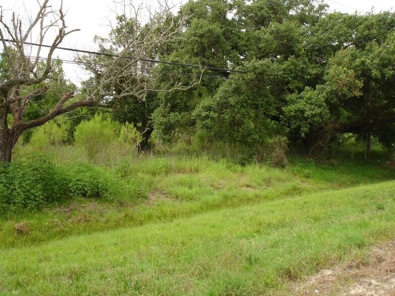 More Photos Of 3207 W Parkwood Ave, Friendswood Land For Sale