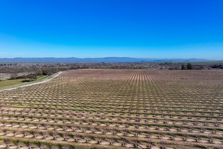 More Photos Of 15116 Allen rd, Snelling Land For Sale