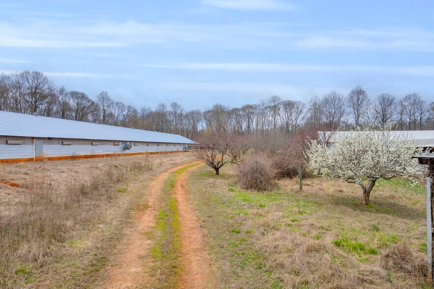 More Photos Of Chatham Rd, Homer Land For Sale