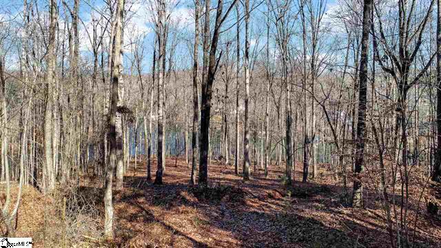 More Photos Of Knollwood Dr, Seneca Land For Sale