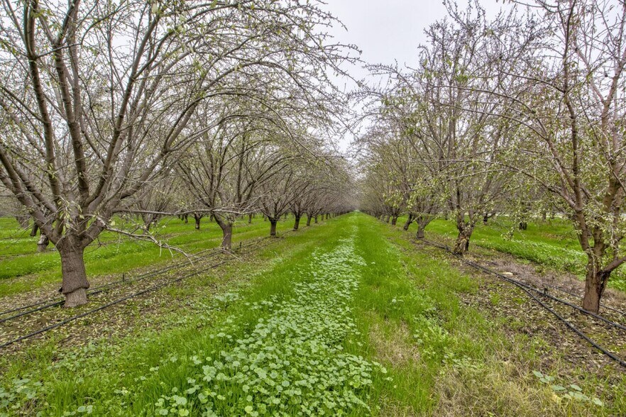 More Photos Of Sierra & N Kramer St ave, Earlimart Land For Sale