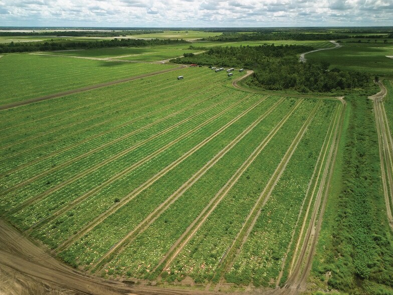 More Photos Of 40105 Ballard Rd, Myakka City Land For Lease