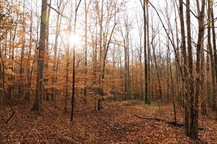 More Photos Of Jug Factory Road, Wetumpka Land For Sale