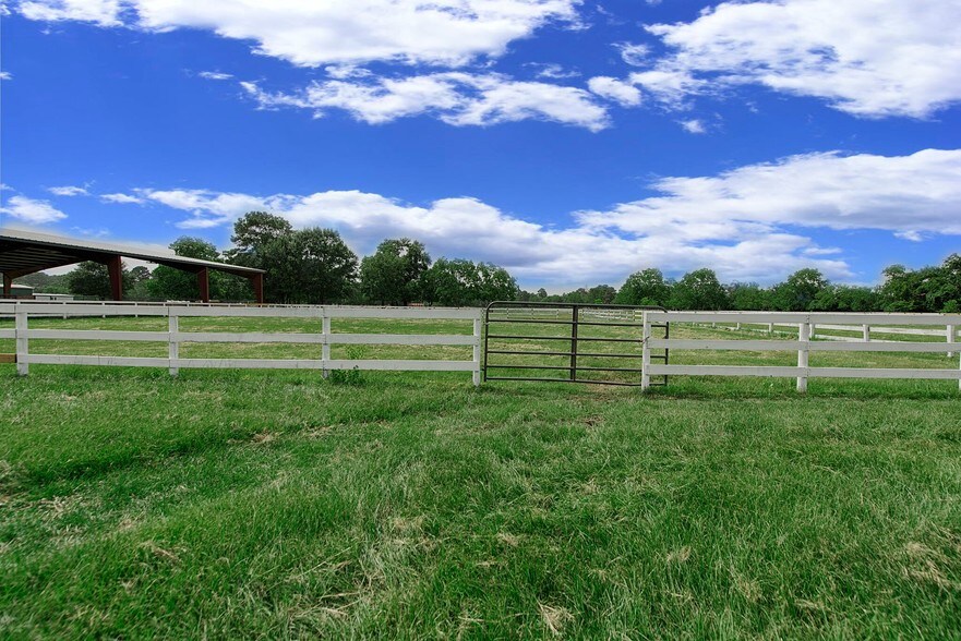 More Photos Of 22815 Lain Rd, Spring Land For Sale