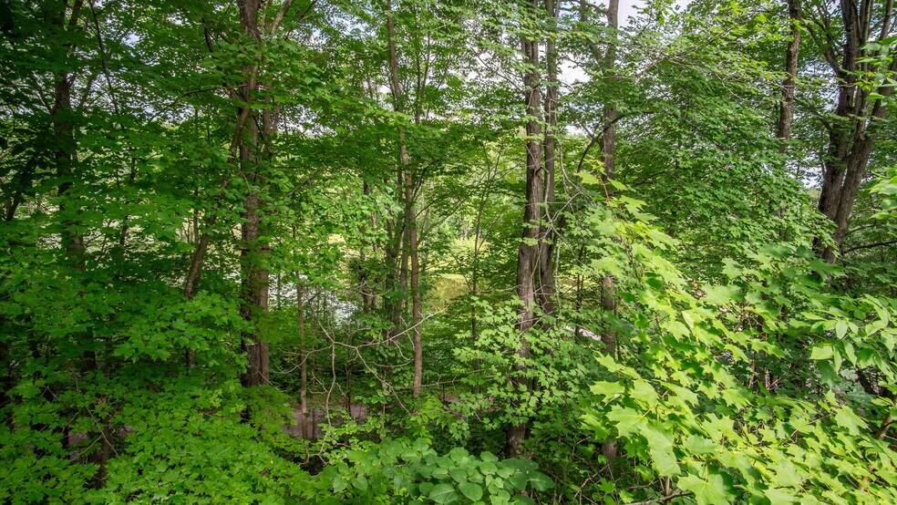 More Photos Of N1107 Roses Resort Rd, Weyerhaeuser Trailer Camper Park For Sale