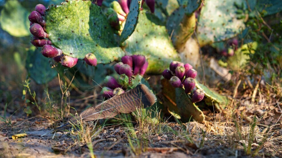 More Photos Of 879 County Road 421, Gonzales Land For Sale