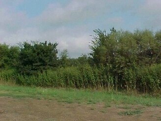 More Photos Of SWC - MARKET PLACE BLVD. & DAVIS LN, Brownwood Land For Lease