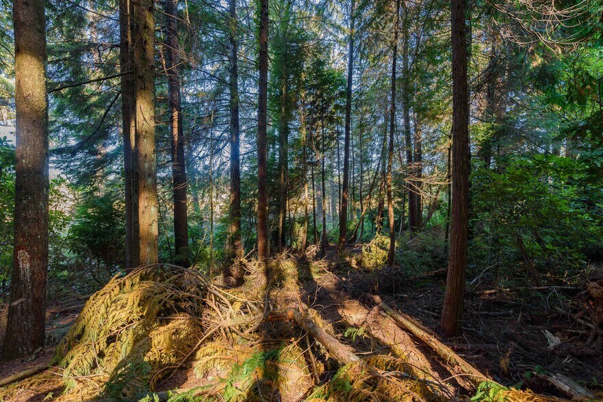 More Photos Of 0 Newmark ave, North Bend Land For Sale