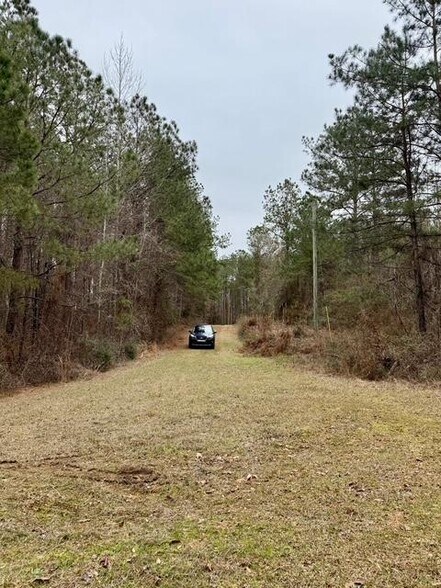 More Photos Of 00 Maypop Ln, Meadville Land For Sale
