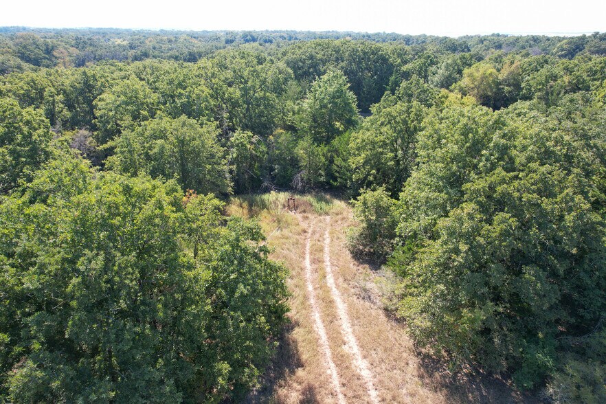 More Photos Of 0 Farm to Market 1246, Thornton Land For Sale
