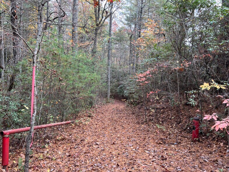 More Photos Of Whitecliff Drive, Ellijay Land For Sale