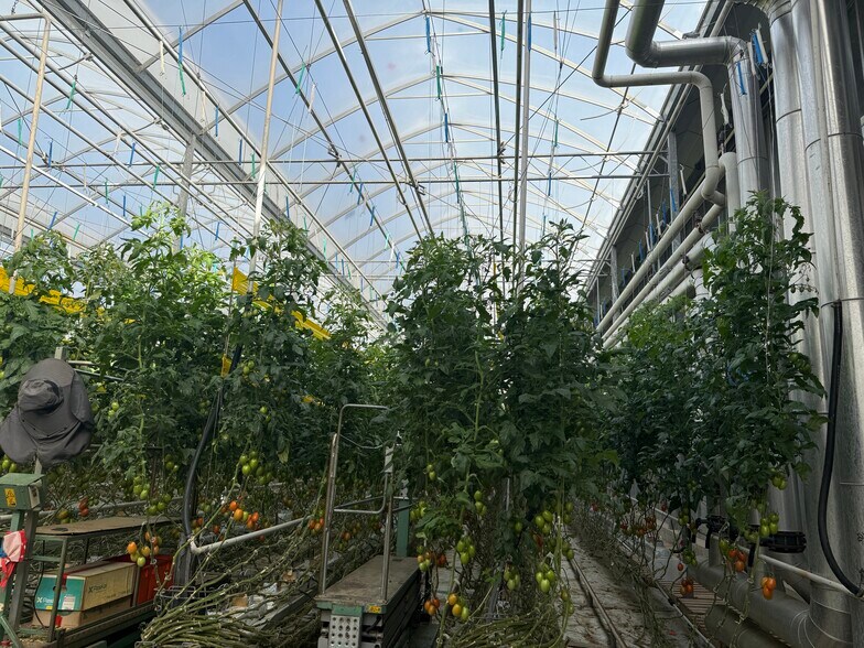 More Photos Of 11312 Range 63 rd, Cypress County Industrial For Sale