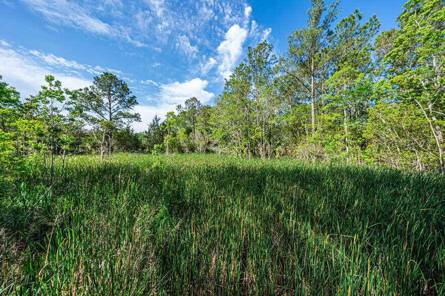 More Photos Of 0 King Rail Lane, Edisto Island Land For Sale
