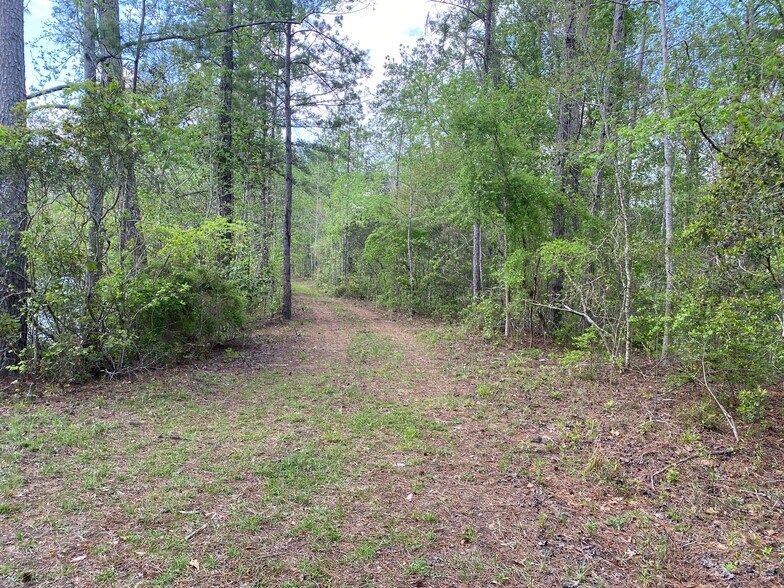 More Photos Of County Road 270, Chattahoochee Land For Sale