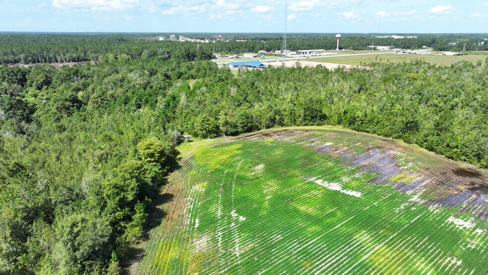 More Photos Of 0, Hazlehurst Land For Sale