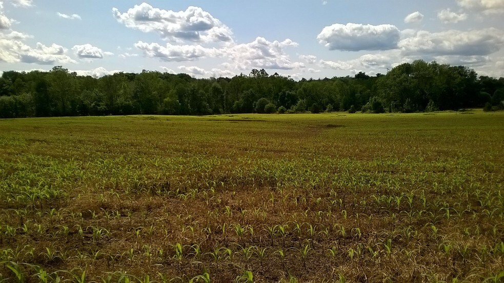 More Photos Of E Ben Franklin Hwy, Birdsboro Land For Sale