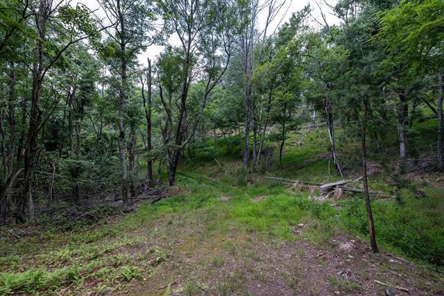 More Photos Of 22590 Criders Rd, Criders Land For Sale