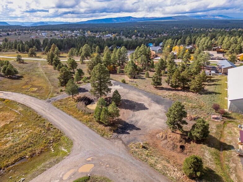 More Photos Of 555 Bastille Drive, Pagosa Springs Land For Sale