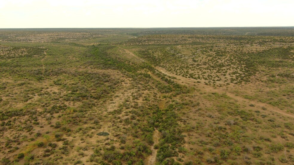 More Photos Of 0100 Cactus Rose Ln, Ozona Land For Sale