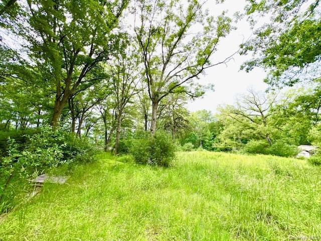 More Photos Of 7584 NY-97, Narrowsburg Land For Sale