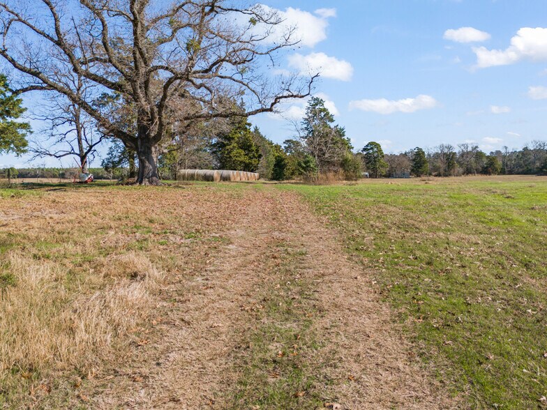 More Photos Of 255 County Road 4645, Winnsboro Land For Sale
