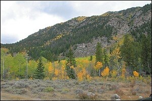 More Photos Of Hwy 82, Twin Lakes Land For Sale