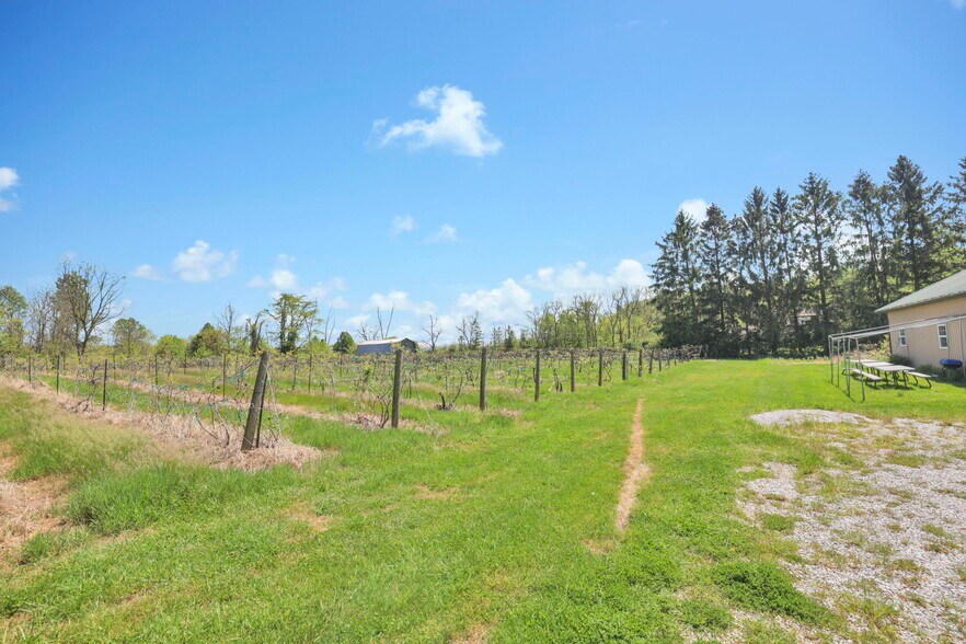 More Photos Of 1900 Winchester Southern Rd, Canal Winchester Winery Vineyard For Sale