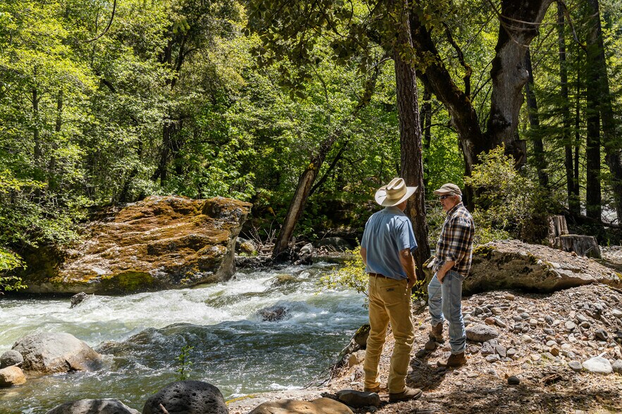 More Photos Of 35350 State Highway 36 E, Paynes Creek Land For Sale