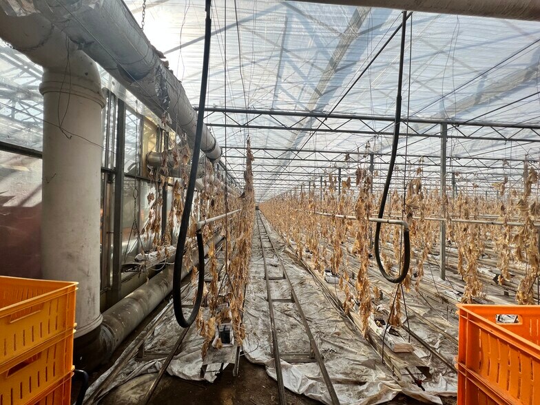 More Photos Of 566 Tomato Dr, Punxsutawney Self Storage For Sale