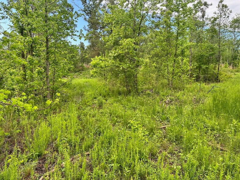 More Photos Of Satcher Road Rd, Taylorsville Land For Sale