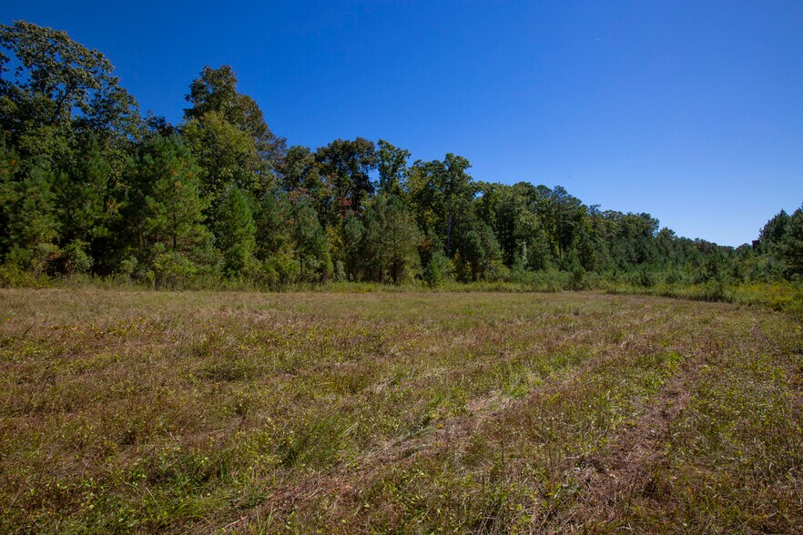 More Photos Of Walter Bright Road & 15-501, Sanford Land For Sale