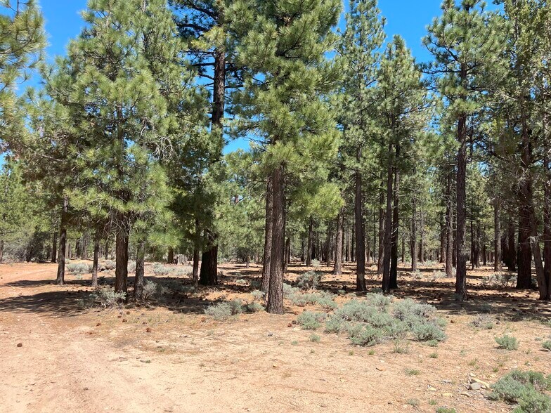 More Photos Of Erwin Ranch Rd, Big Bear City Land For Sale
