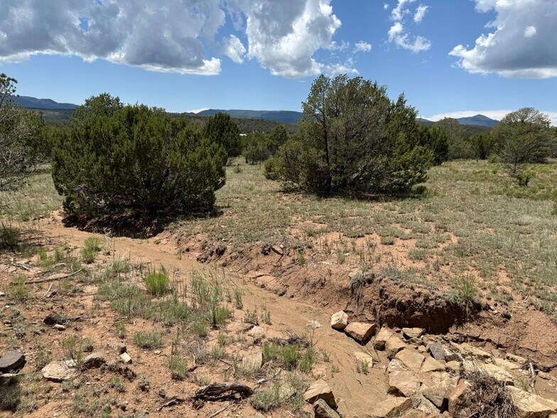 More Photos Of 44 Forest 321 Rd, Estancia Land For Sale