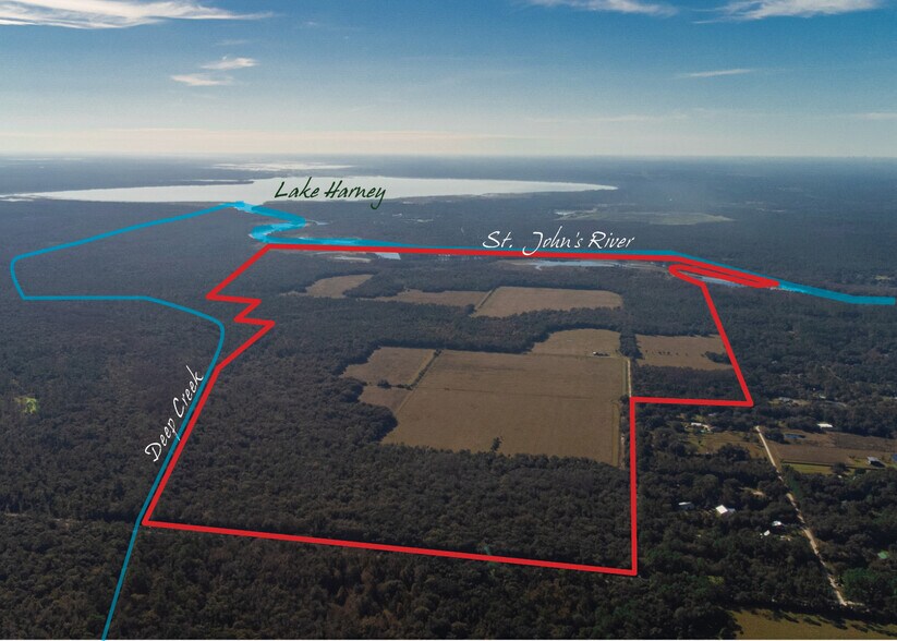 Primary Photo Of 1411 Osteen Maytown, Osteen Land For Sale