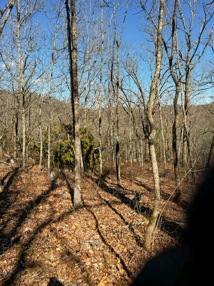 More Photos Of 4103 River Road, Guion Land For Sale