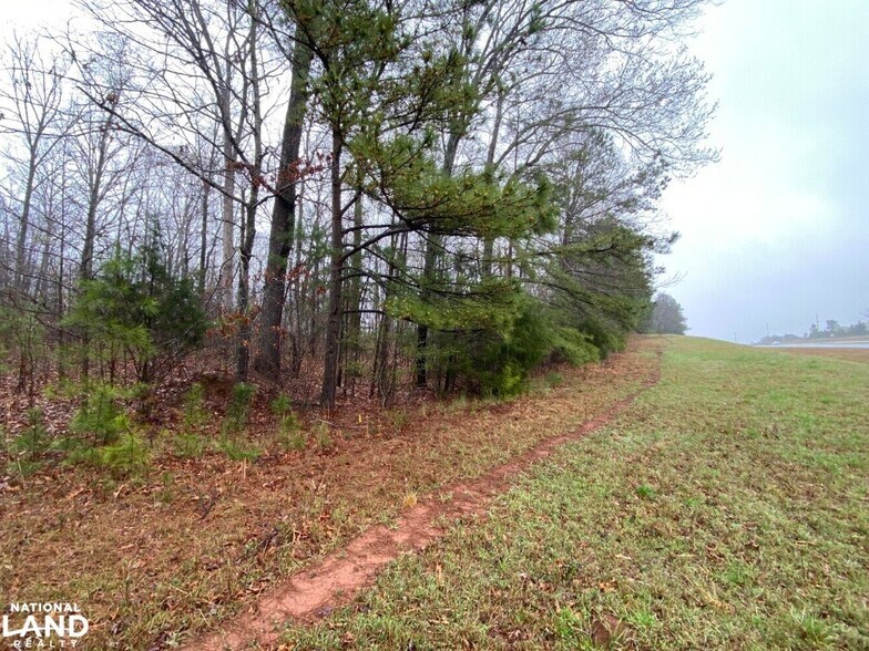 More Photos Of 0 Highway 280, Dadeville Land For Sale