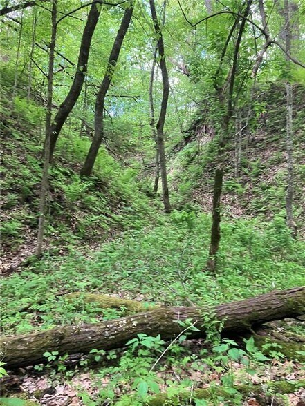 More Photos Of N3953 Bear Pen Rd, Arkansaw Land For Sale