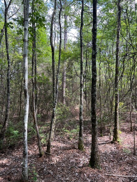 More Photos Of 0 Hwy 63, Moss Point Land For Sale